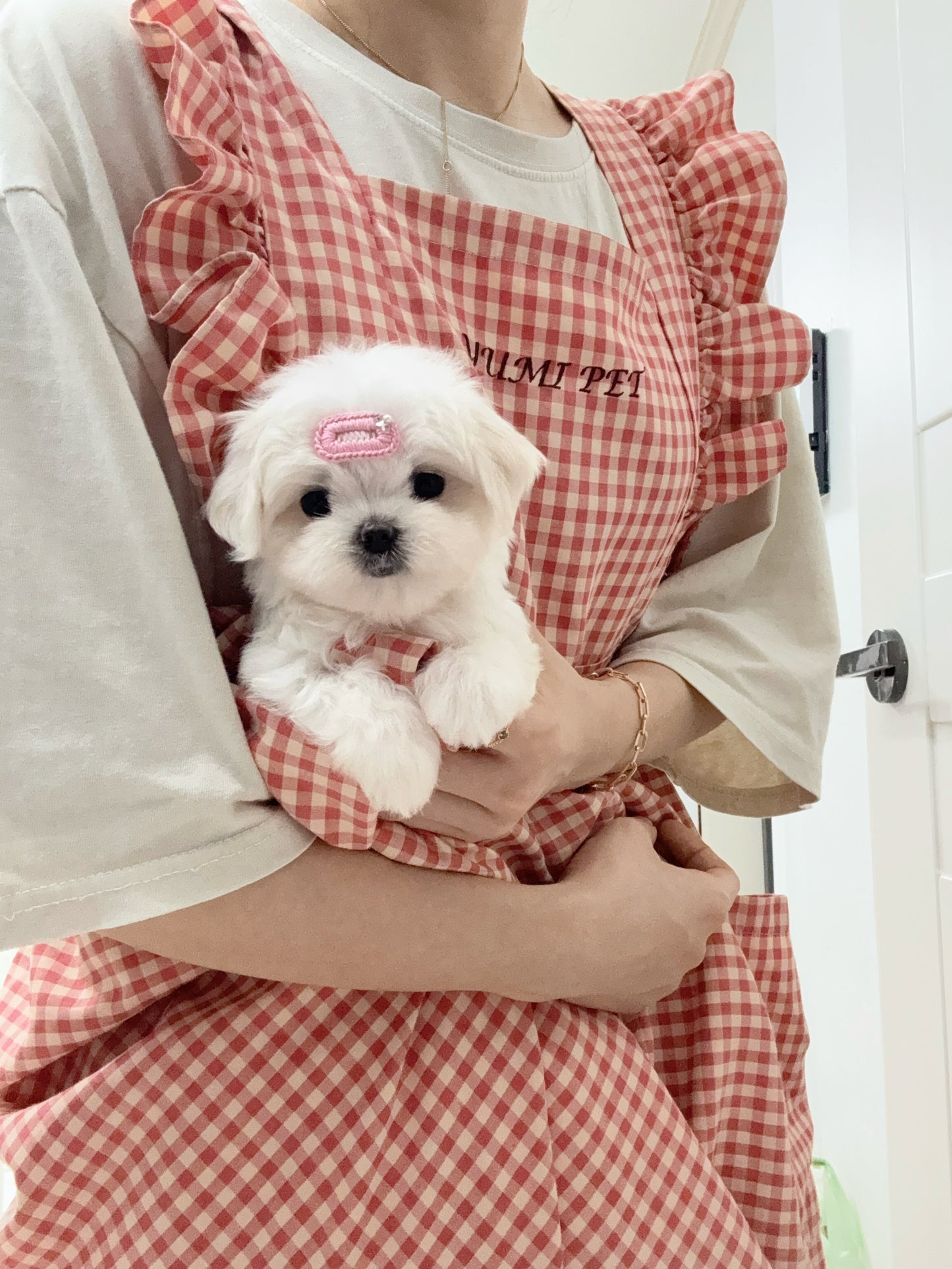 Maltese-Nina