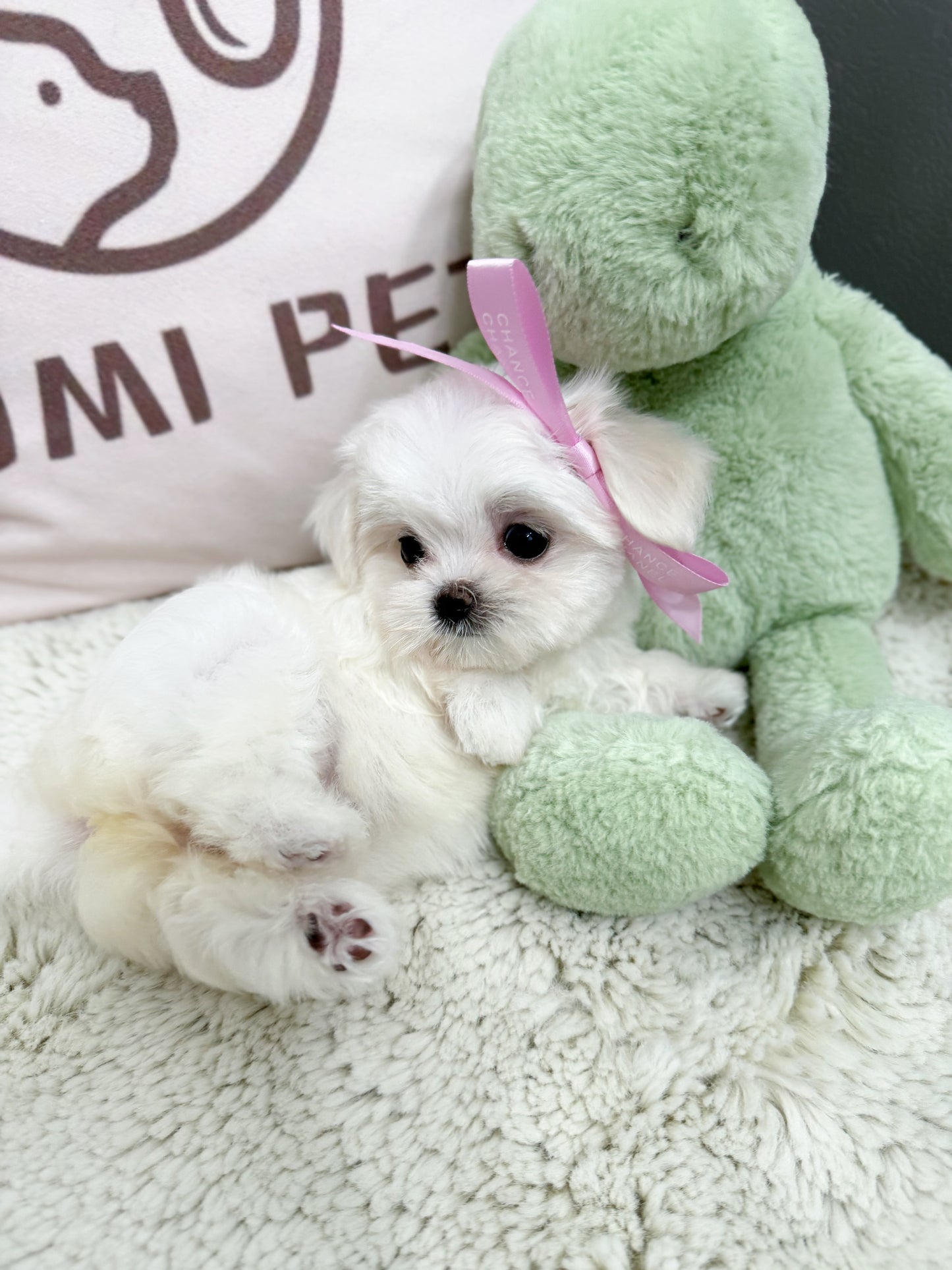 Maltese-Tofu