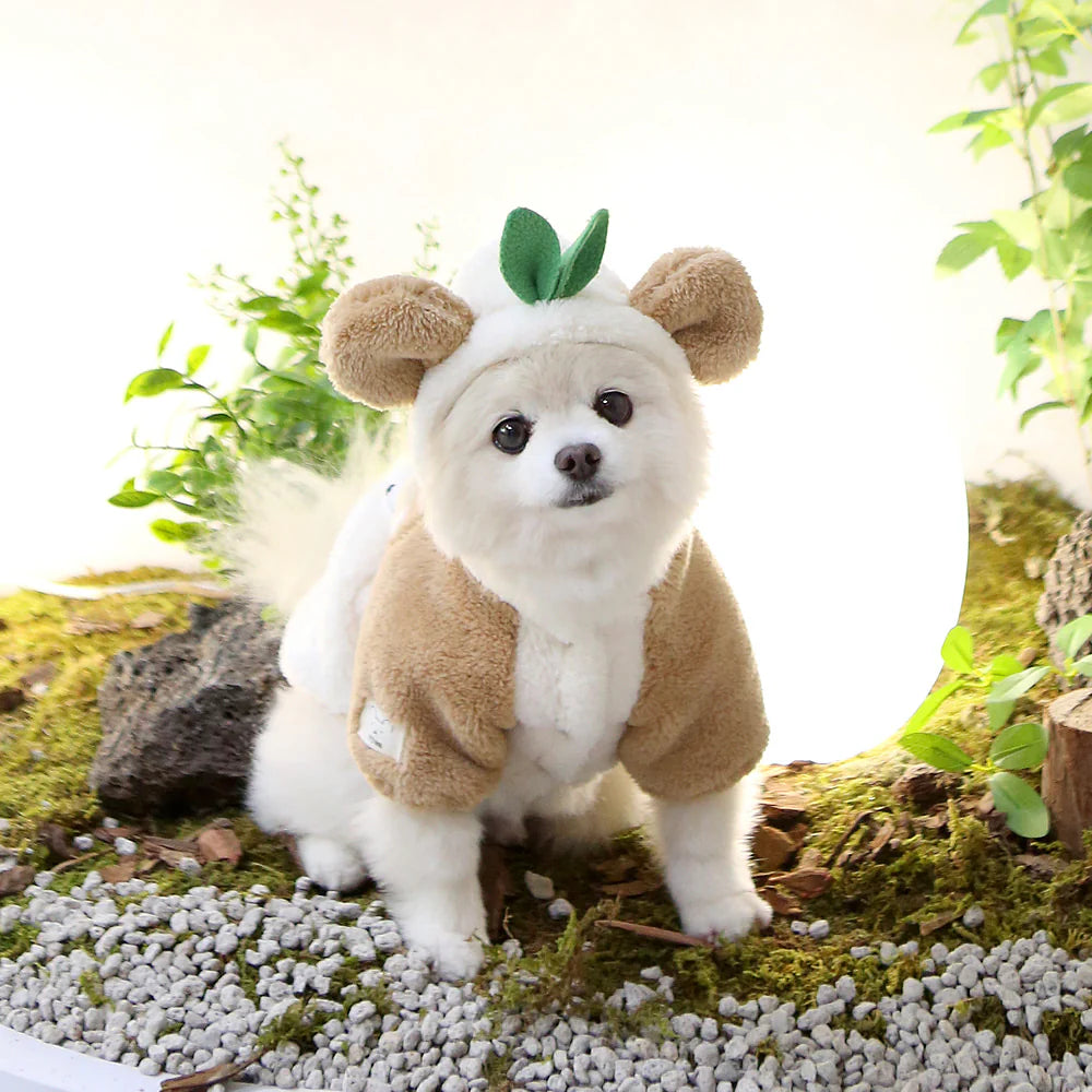 It's Dog Cute Baby Clothes